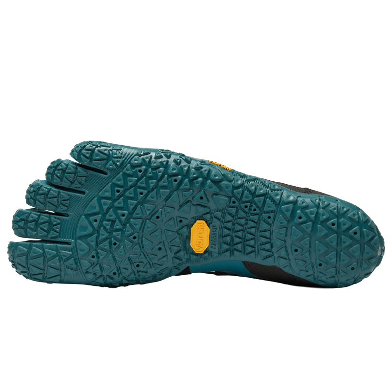 Scarpe uomo Spidrwalk