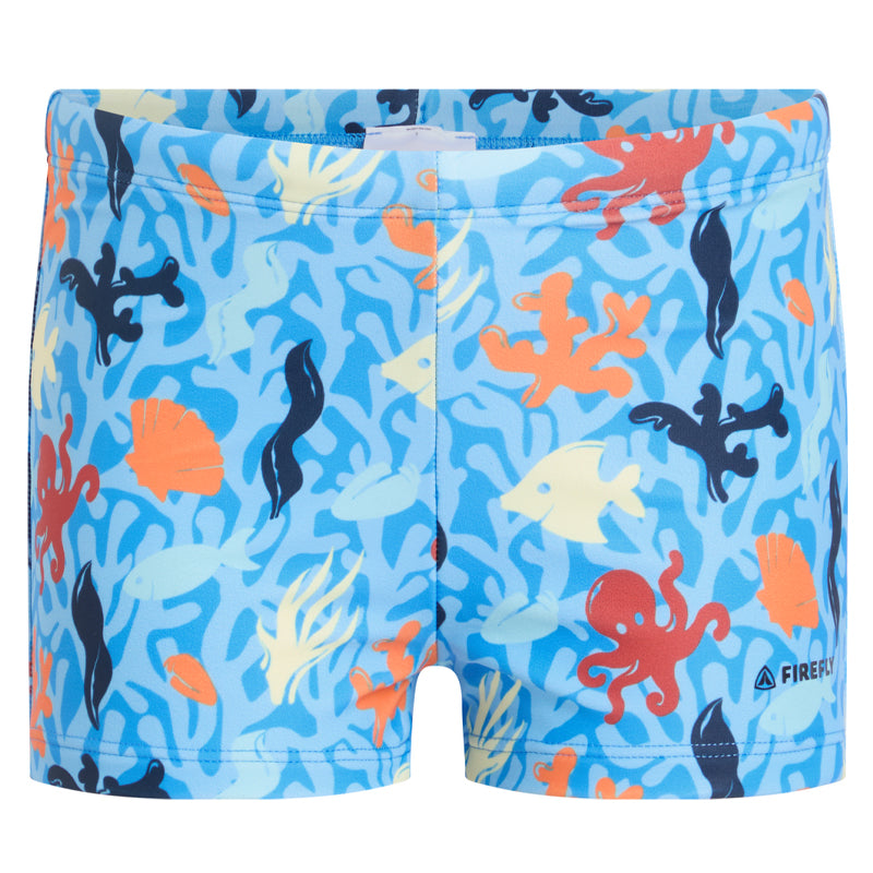 Boxer bambino little Samon