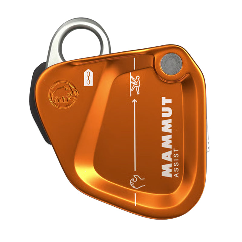 Assist Belay Resistor