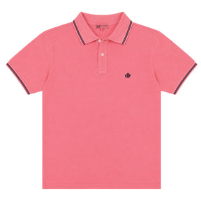 Polo uomo Terra