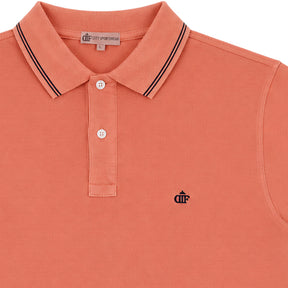 Polo uomo Terra
