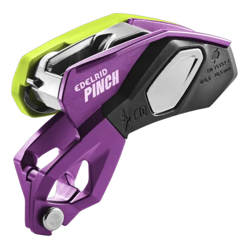 Assicuratore Pinch