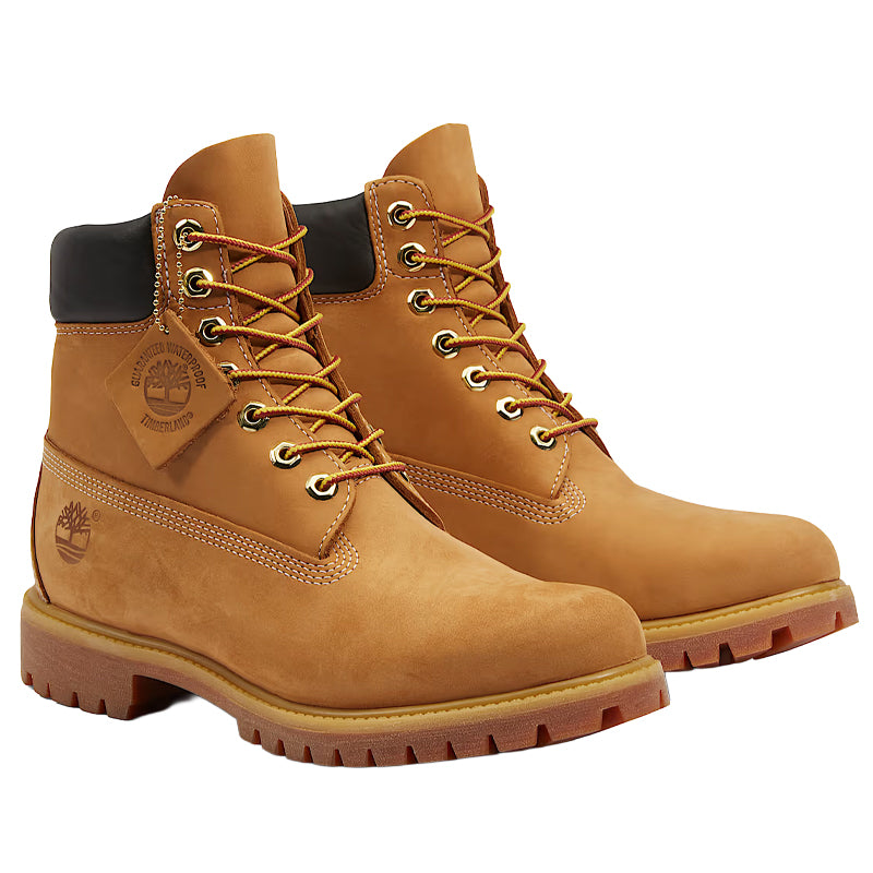 Scarpe uomo Premium 6 PrimaLoft