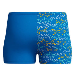 Boxer bambino little Learn to Swim