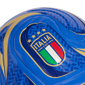 Minipallone Italia FIGC Trionda Home