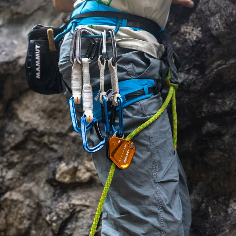 Assist Belay Resistor