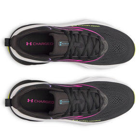 Scarpe uomo Rogue 6