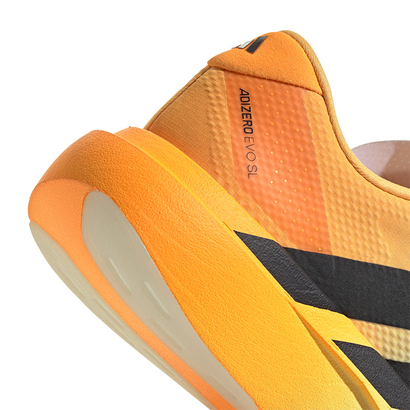 Scarpe uomo Adizero EVO SL