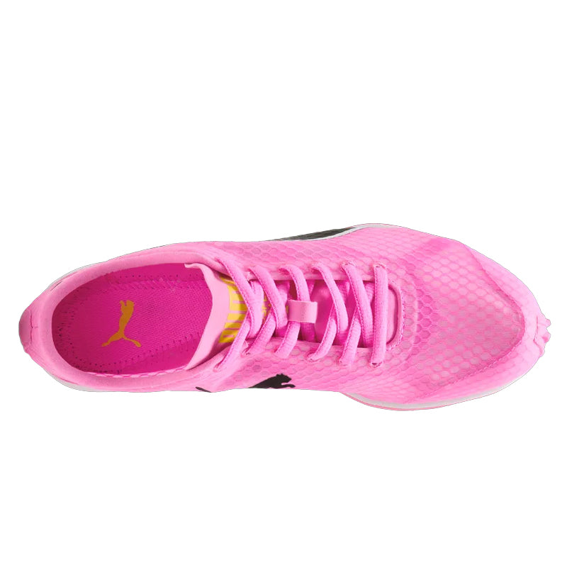 Scarpe Evospeed Haraka 8