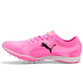 Scarpe Evospeed Haraka 8