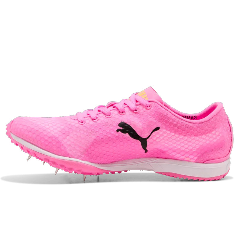 Scarpe Evospeed Haraka 8
