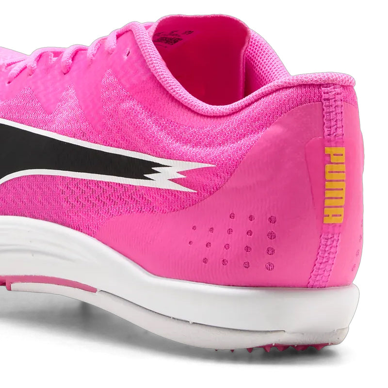 Scarpe Evospeed Long Distance