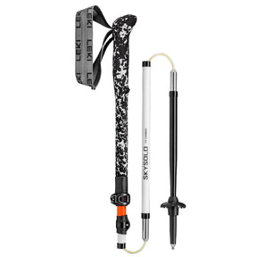 Bastoncini Skysolo FX Carbon
