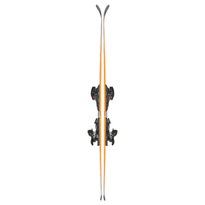 Sci Firebird 70 RS TI + Xcell12 Demo 2026
