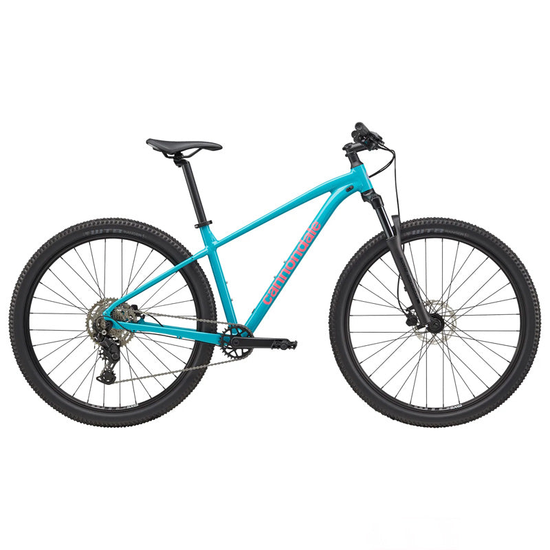 Mtb Trail 2