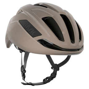Casco Sintesi