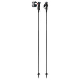 Bastoncini Carbon 12 TR