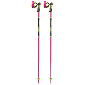 Bastoncini SCI WCR TBS SL 3D