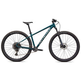 Bici Rockhopper Expert