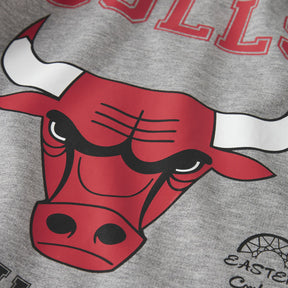 Felpa bambino Bulls
