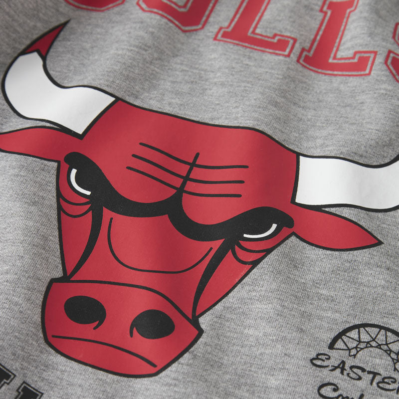Felpa bambino Bulls