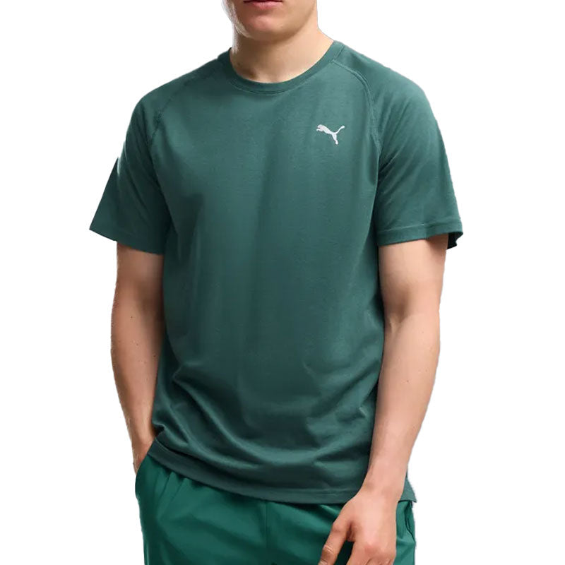 T-Shirt uomo PWRTRAIN Training