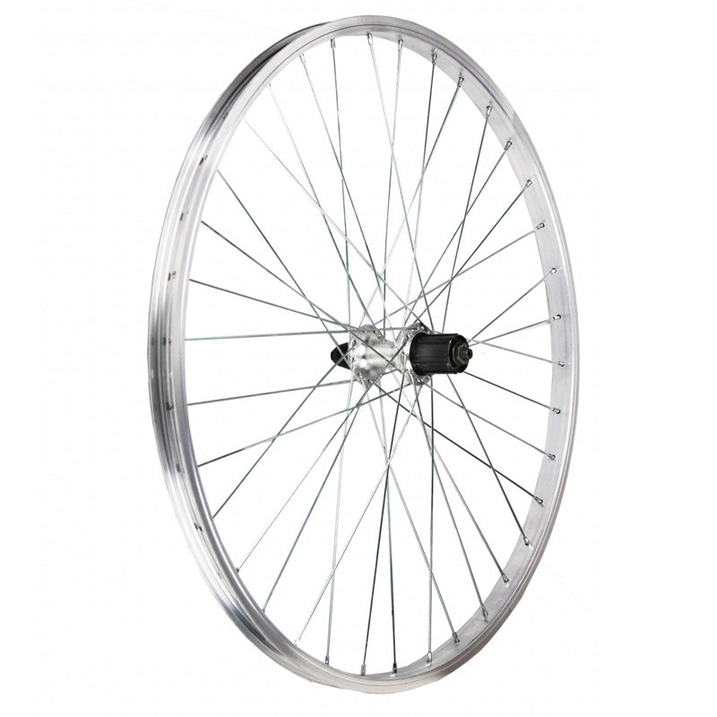 Ruota MTB 26 Posteriore 7/8v