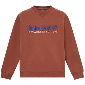 Felpa uomo Logo Established 1973