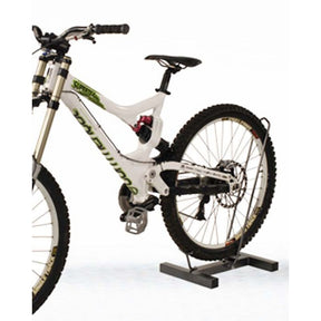 Stand Mtb Downhill