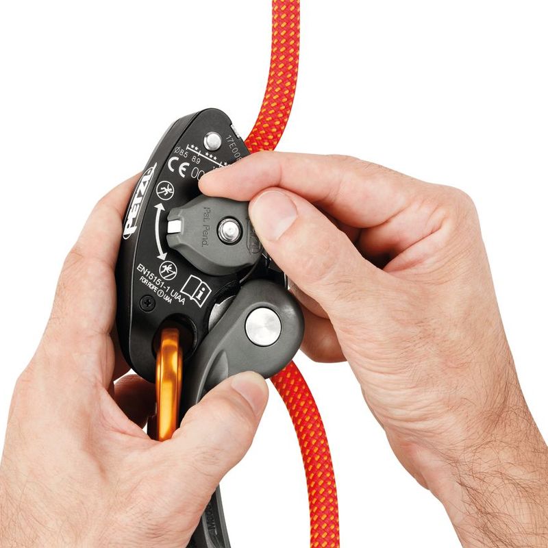 Assicuratore GRIGRI+